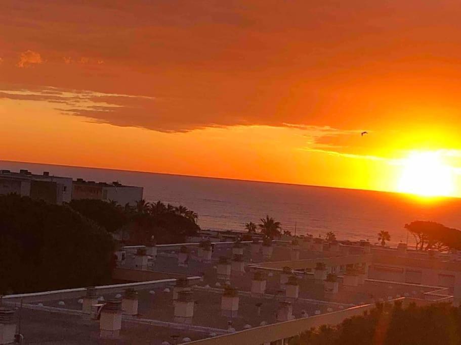 Appartement Vue Mer Au Lavandou Le Lavandou Exterior foto